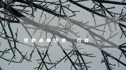 贷款逾期还款 罚款 贷款逾期还款 罚款